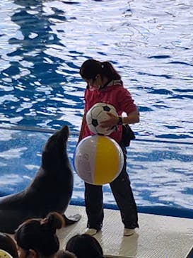 アクアワールド茨城県大洗水族館に投稿された画像（2023/2/6）