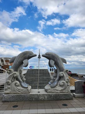 アクアワールド茨城県大洗水族館に投稿された画像（2023/2/6）