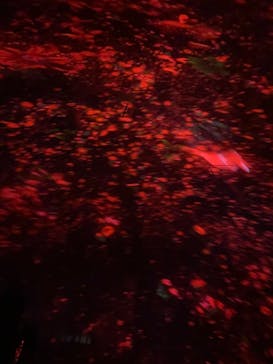 チームラボプラネッツ TOKYO DMMに投稿された画像（2023/2/6）