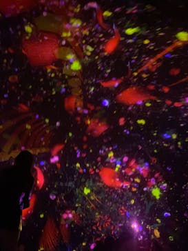 チームラボプラネッツ TOKYO DMMに投稿された画像（2023/2/6）