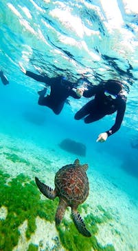 宮古島 ADVENTURE PiPi（ミヤコジマ アドベンチャー ピピ）に投稿された画像（2023/2/6）