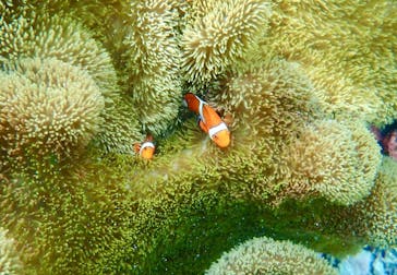 宮古島 ADVENTURE PiPi（ミヤコジマ アドベンチャー ピピ）に投稿された画像（2023/2/6）