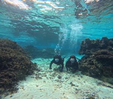 marine assist DEMI（マリンアシストデミ）に投稿された画像（2023/2/6）