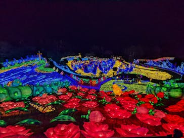 伊豆ぐらんぱる公園に投稿された画像（2023/2/6）