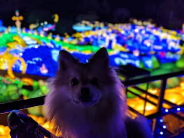 伊豆ぐらんぱる公園に投稿された画像（2023/2/6）