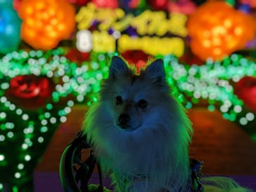 伊豆ぐらんぱる公園に投稿された画像（2023/2/6）