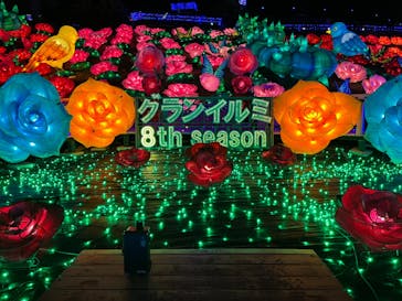 伊豆ぐらんぱる公園に投稿された画像（2023/2/6）