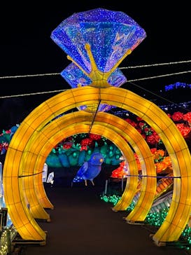 伊豆ぐらんぱる公園に投稿された画像（2023/2/6）