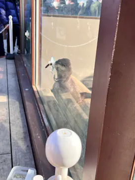 横浜・八景島シーパラダイスに投稿された画像（2023/2/6）