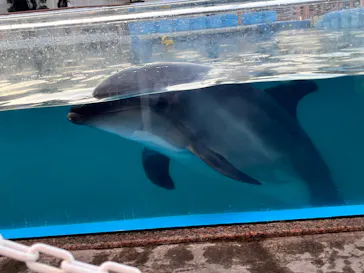 横浜・八景島シーパラダイスに投稿された画像（2023/2/6）