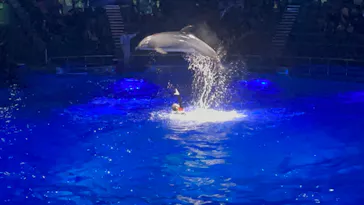 マクセル アクアパーク品川に投稿された画像（2023/2/6）