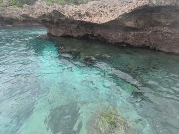 宮古島 ADVENTURE PiPi（ミヤコジマ アドベンチャー ピピ）に投稿された画像（2023/2/6）