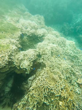 宮古島 ADVENTURE PiPi（ミヤコジマ アドベンチャー ピピ）に投稿された画像（2023/2/6）