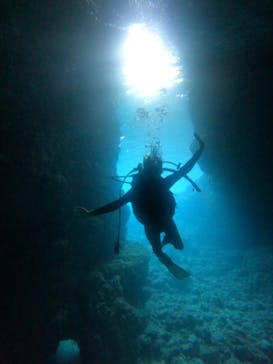 沖縄マリンサービス碧に投稿された画像（2023/2/7）