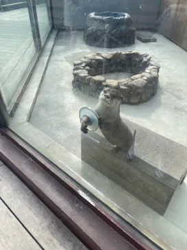 横浜・八景島シーパラダイスに投稿された画像（2023/2/7）