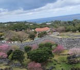 今帰仁城跡に投稿された画像（2023/2/7）