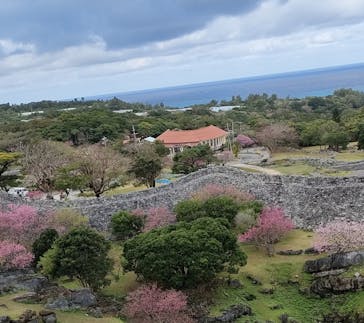 今帰仁城跡に投稿された画像（2023/2/7）