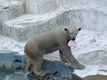 天王寺動物園に投稿された画像（2023/2/7）