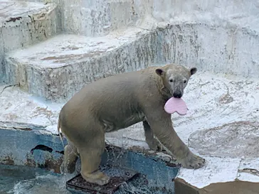 天王寺動物園に投稿された画像（2023/2/7）