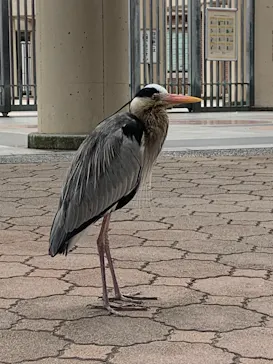 天王寺動物園に投稿された画像（2023/2/7）