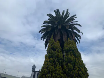 天王寺動物園に投稿された画像（2023/2/7）