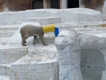 天王寺動物園に投稿された画像（2023/2/7）