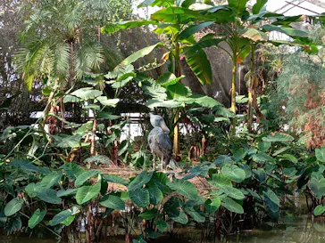 神戸どうぶつ王国に投稿された画像（2023/2/7）