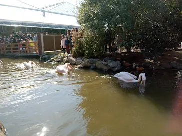 神戸どうぶつ王国に投稿された画像（2023/2/7）