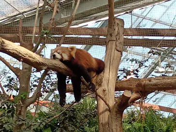 神戸どうぶつ王国に投稿された画像（2023/2/7）