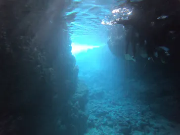 武藤潜水に投稿された画像（2023/2/7）