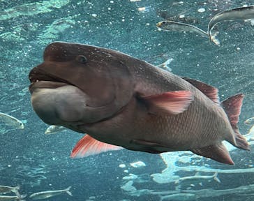 サンシャイン水族館に投稿された画像（2023/2/7）