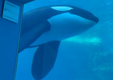 名古屋港水族館に投稿された画像（2023/2/7）