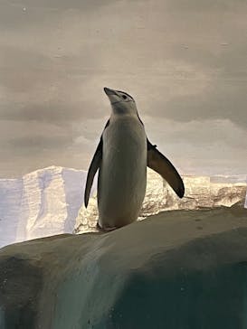 名古屋港水族館に投稿された画像（2023/2/7）