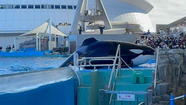 名古屋港水族館に投稿された画像（2023/2/7）