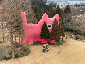 彫刻の森美術館に投稿された画像（2023/2/7）