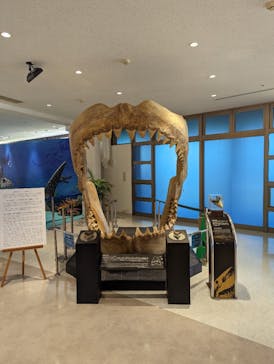 沖縄美ら海水族館に投稿された画像（2023/2/7）