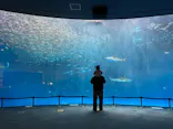 名古屋港水族館に投稿された画像（2023/2/7）
