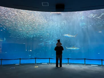 名古屋港水族館に投稿された画像（2023/2/7）