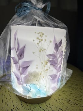 ずこうしつ〜sugamo〜に投稿された画像（2023/2/7）