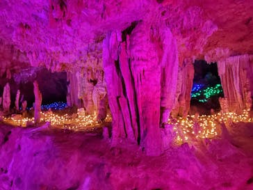 石垣島鍾乳洞に投稿された画像（2023/2/7）