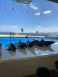 マリンワールド海の中道に投稿された画像（2023/2/7）