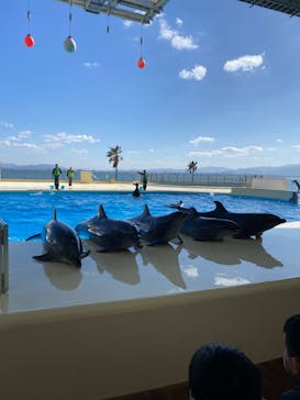 マリンワールド海の中道に投稿された画像（2023/2/7）