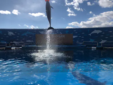 仙台うみの杜水族館に投稿された画像（2023/2/7）