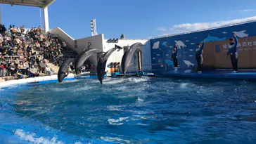 仙台うみの杜水族館に投稿された画像（2023/2/7）