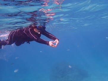 石垣島 ADVENTURE PiPi（イシガキジマアドベンチャーピピ）に投稿された画像（2023/2/8）