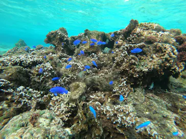 武藤潜水に投稿された画像（2023/2/8）