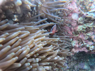 武藤潜水に投稿された画像（2023/2/8）