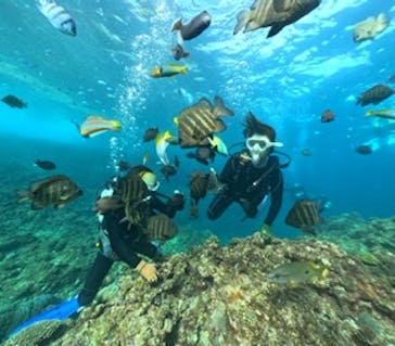 DIVING-SHOP SUNSに投稿された画像（2023/2/8）