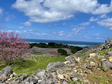 今帰仁城跡に投稿された画像（2023/2/8）