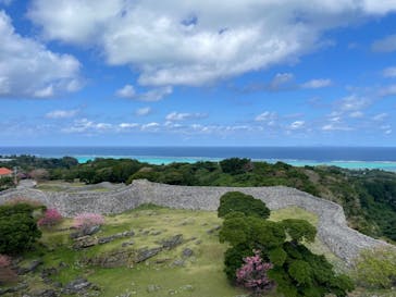 今帰仁城跡に投稿された画像（2023/2/8）